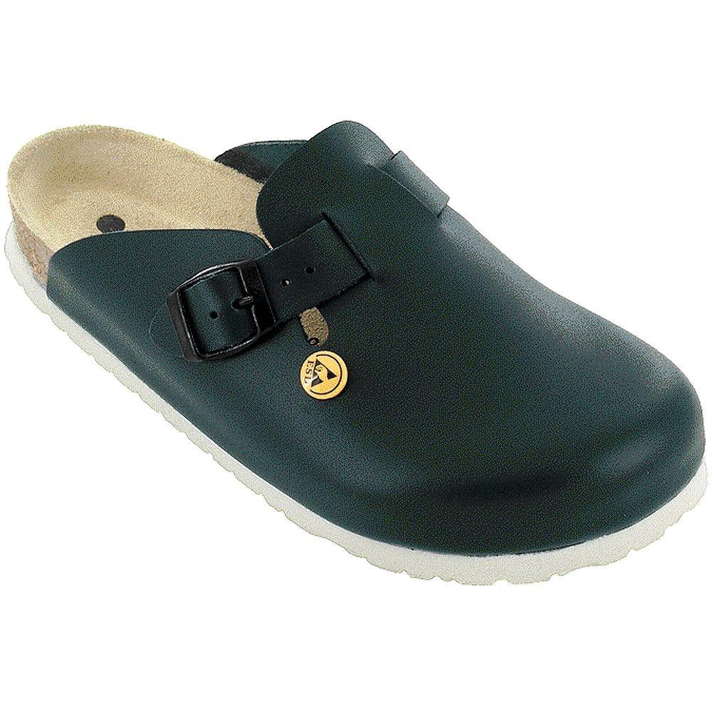ESD Clogs