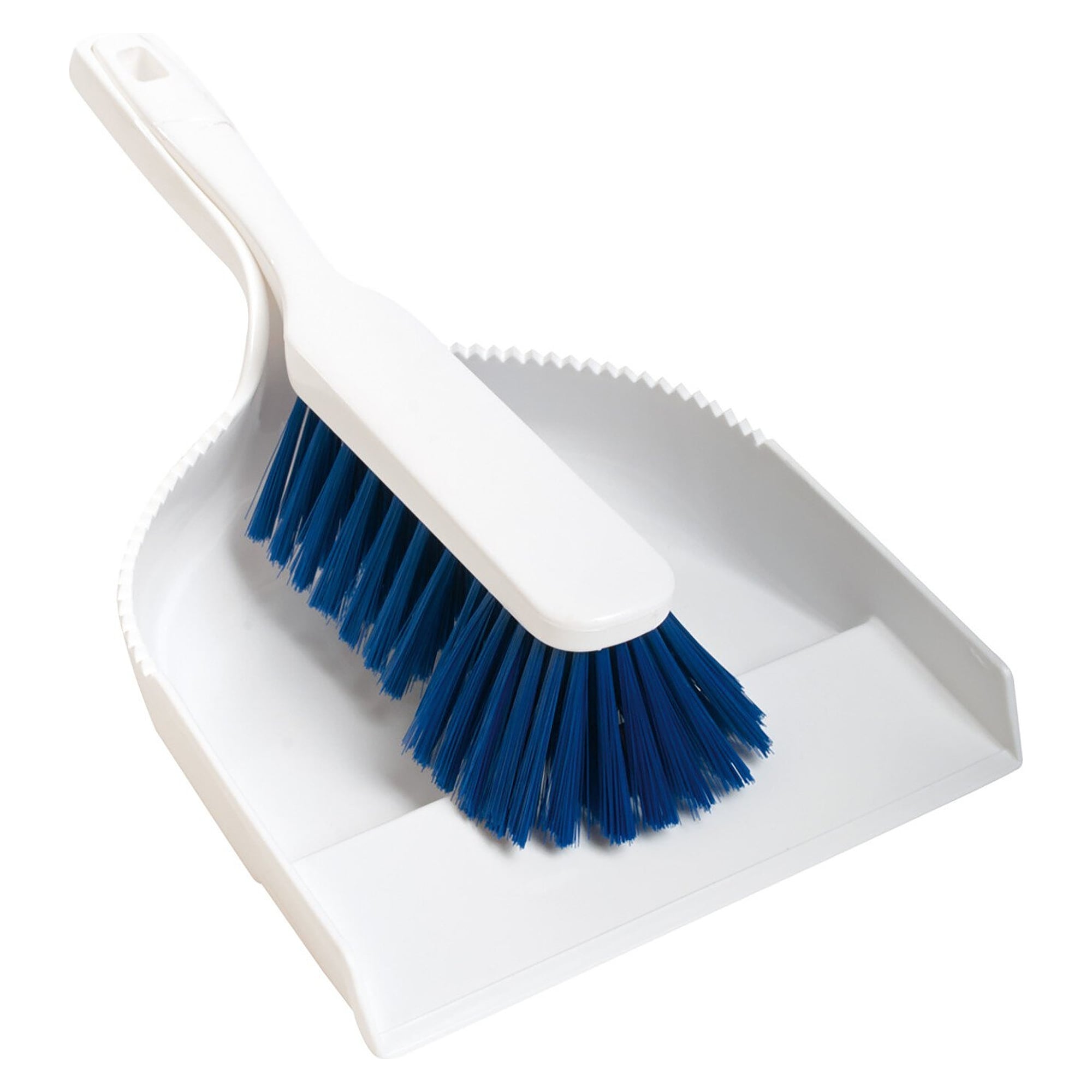 Hygiene-Kehrgarnitur 35,5 x 20 cm, Handfeger mit weichen PBT-Fasern 0,25 mm, blau - Franz Mensch 70083