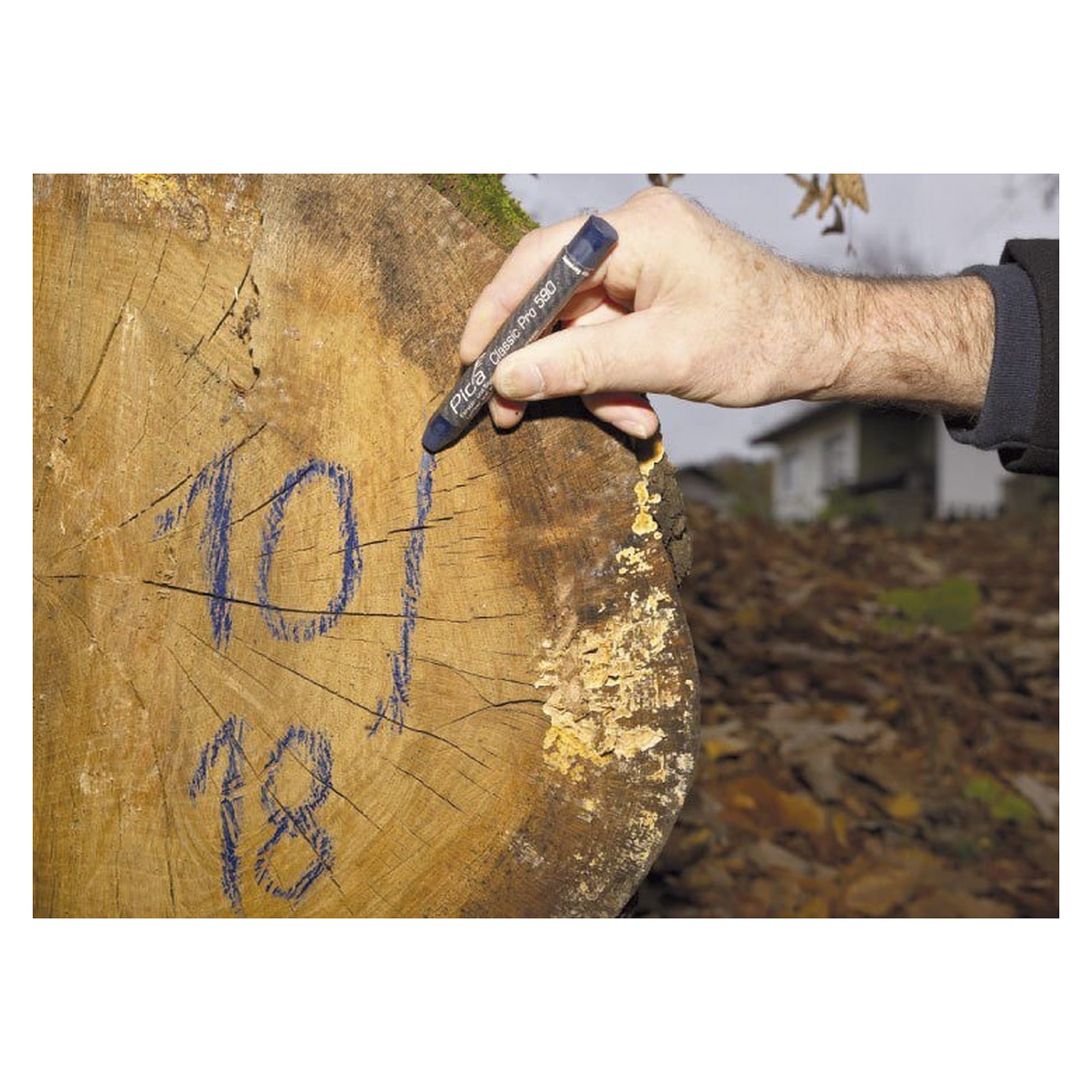 Forester's chalk PRO blue, hexagonal 12 x 120 mm, for dry and wet wood, box of 12 - Pica 590/41