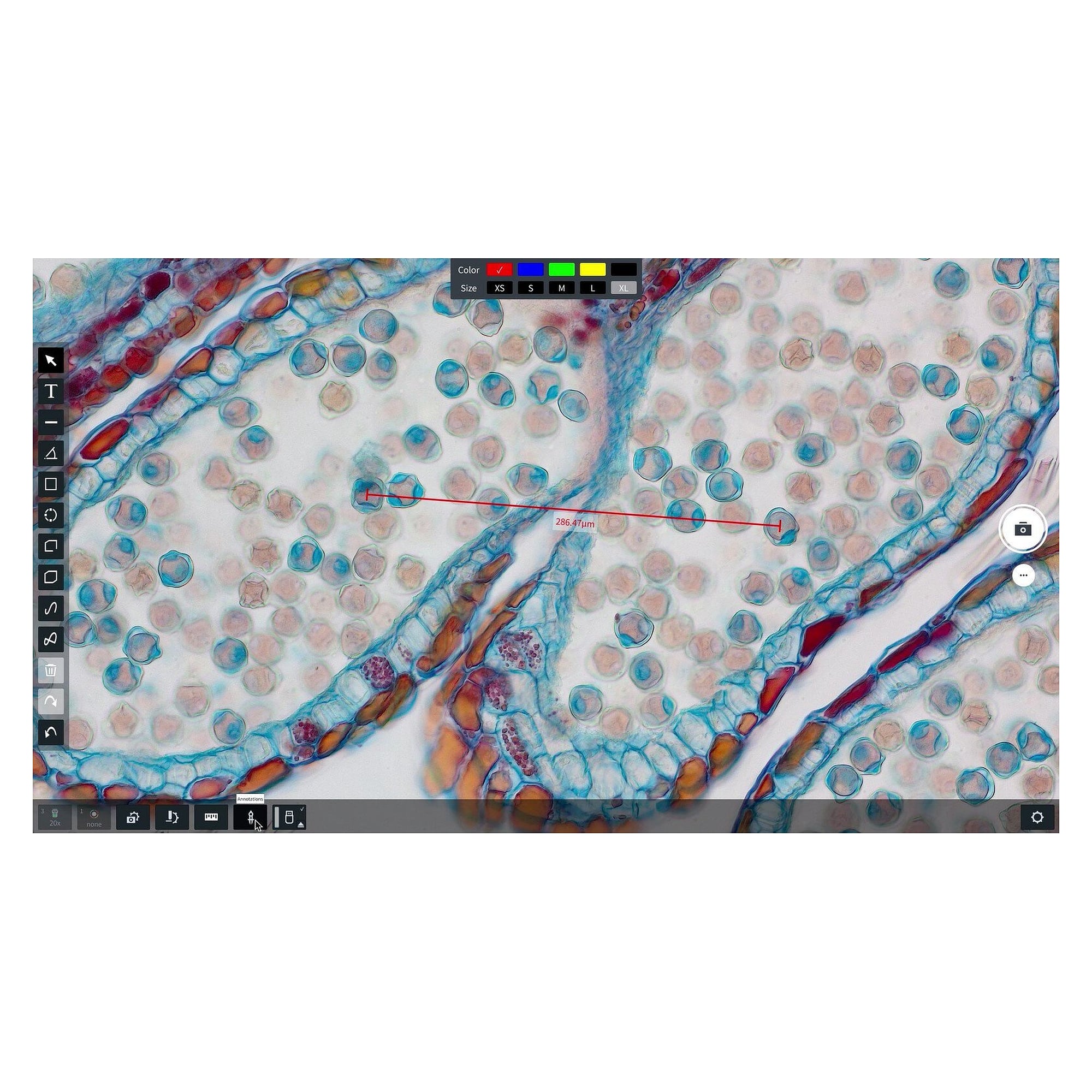 Caméra de microscope Axiocam 212 color, 12,3 MP, 4K via HDMI, USB 3.0 et Ethernet, monture C - Zeiss 426570-9901-000