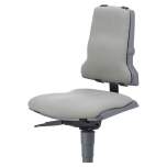 Bimos 9876-6811. Sintec interchangeable upholstery, with lumbar support fabric Duotec grey