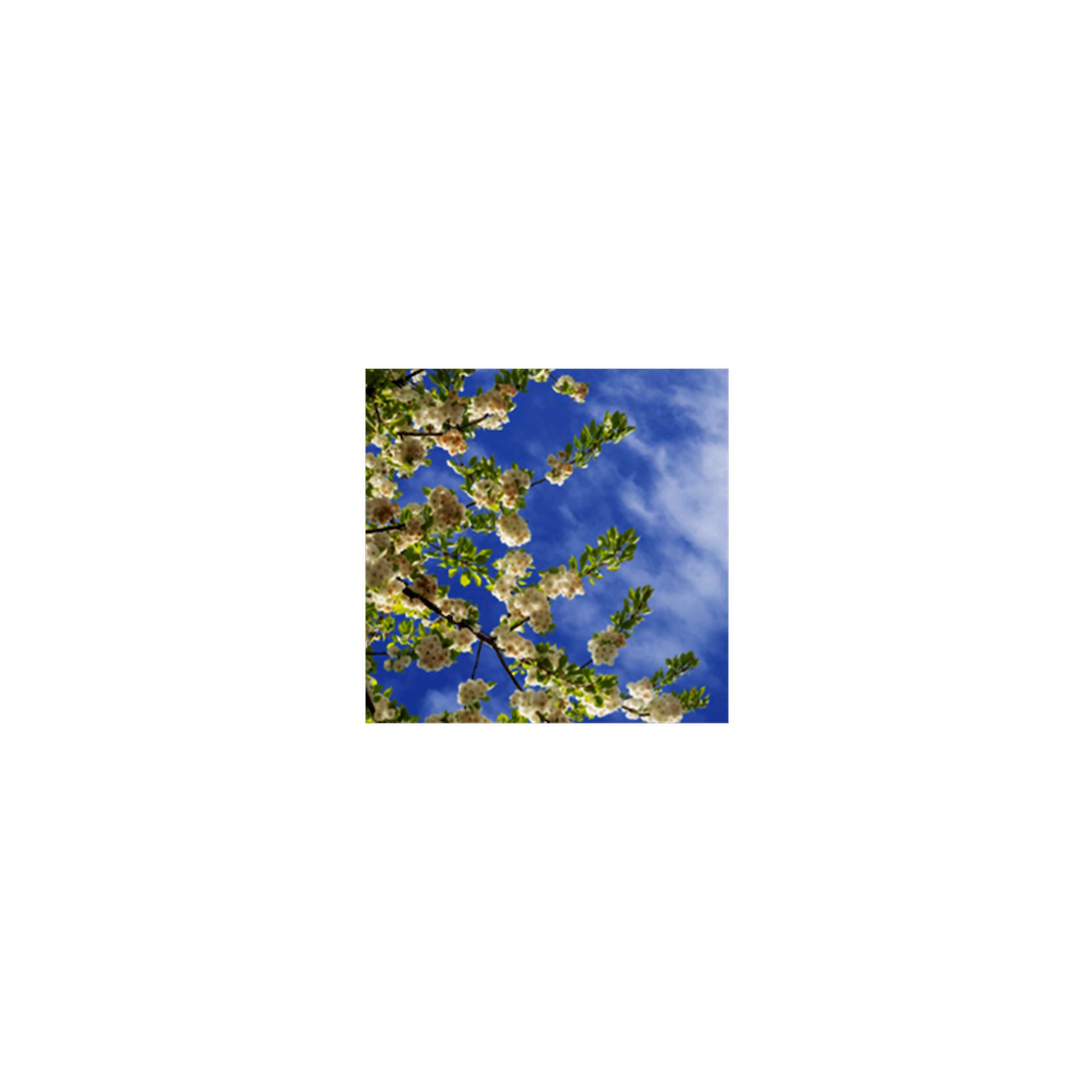 Glamox C95-R600x600 luminaire encastré, 1512 lm, 4000 K, à gradation DALI