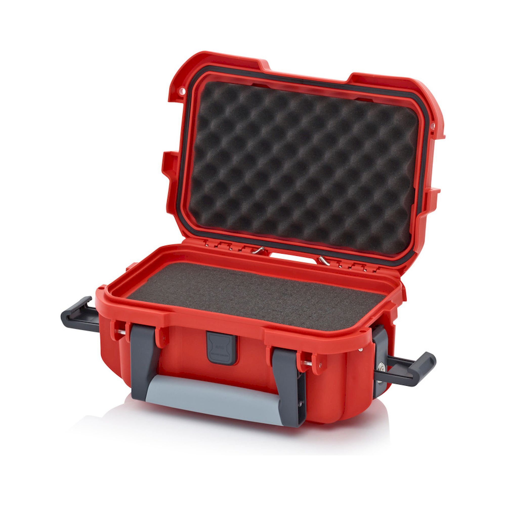 CP S 3213 B1-2002. Schutzkoffer Pro, 30x20x14,05 cm