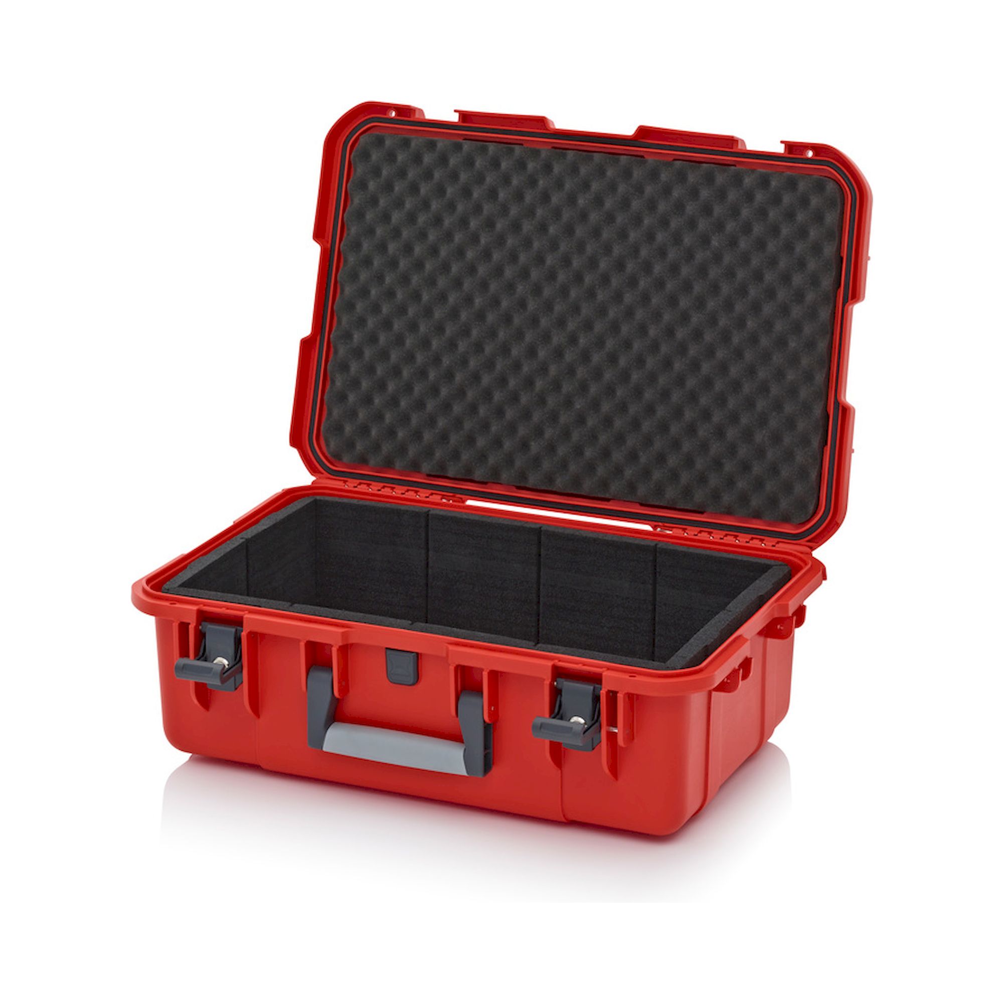 Auer CP S 6422 B2-2002. Mallettes de protection Pro