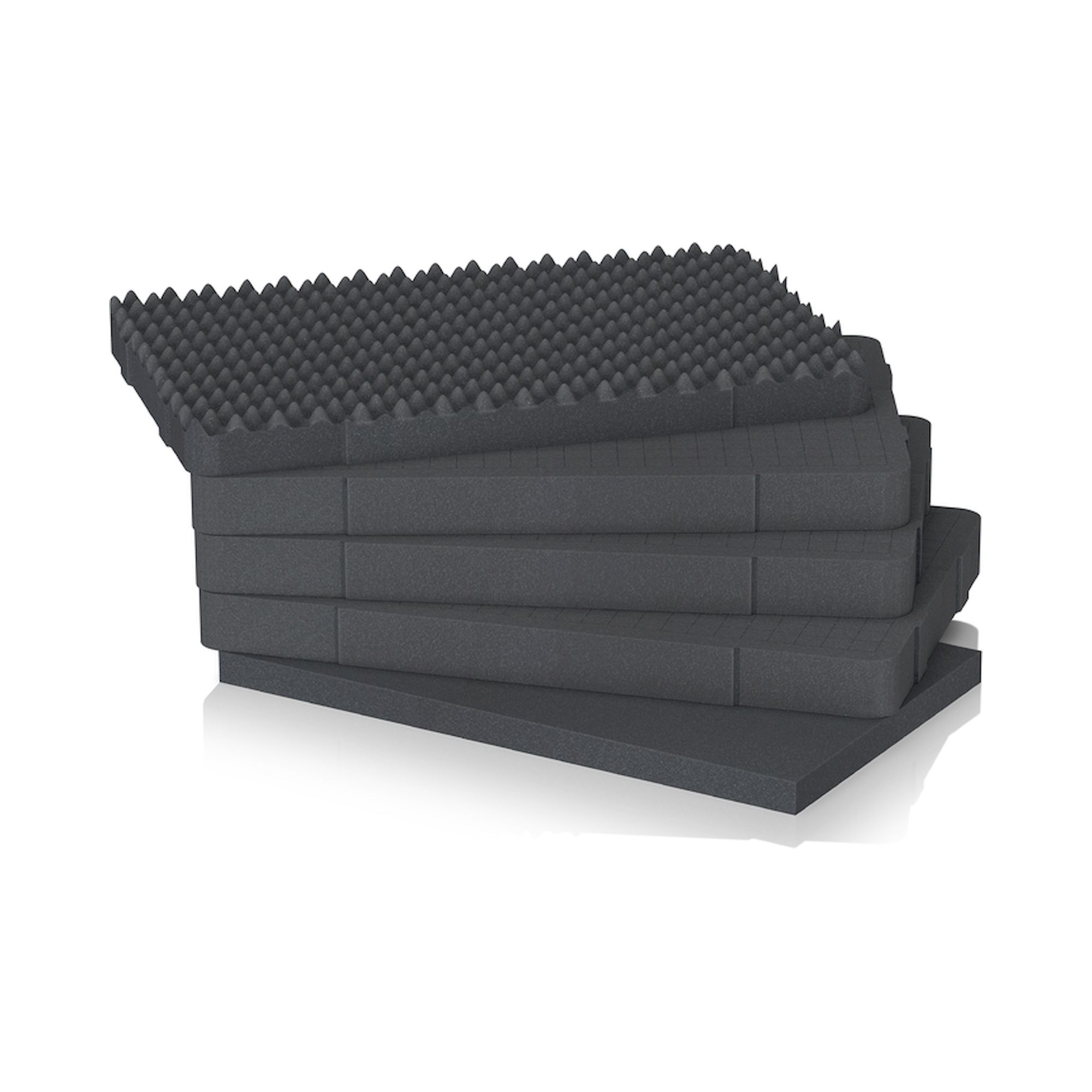 CP S SEBNW 6427. Noppenschaumpolster Schutzkoffer