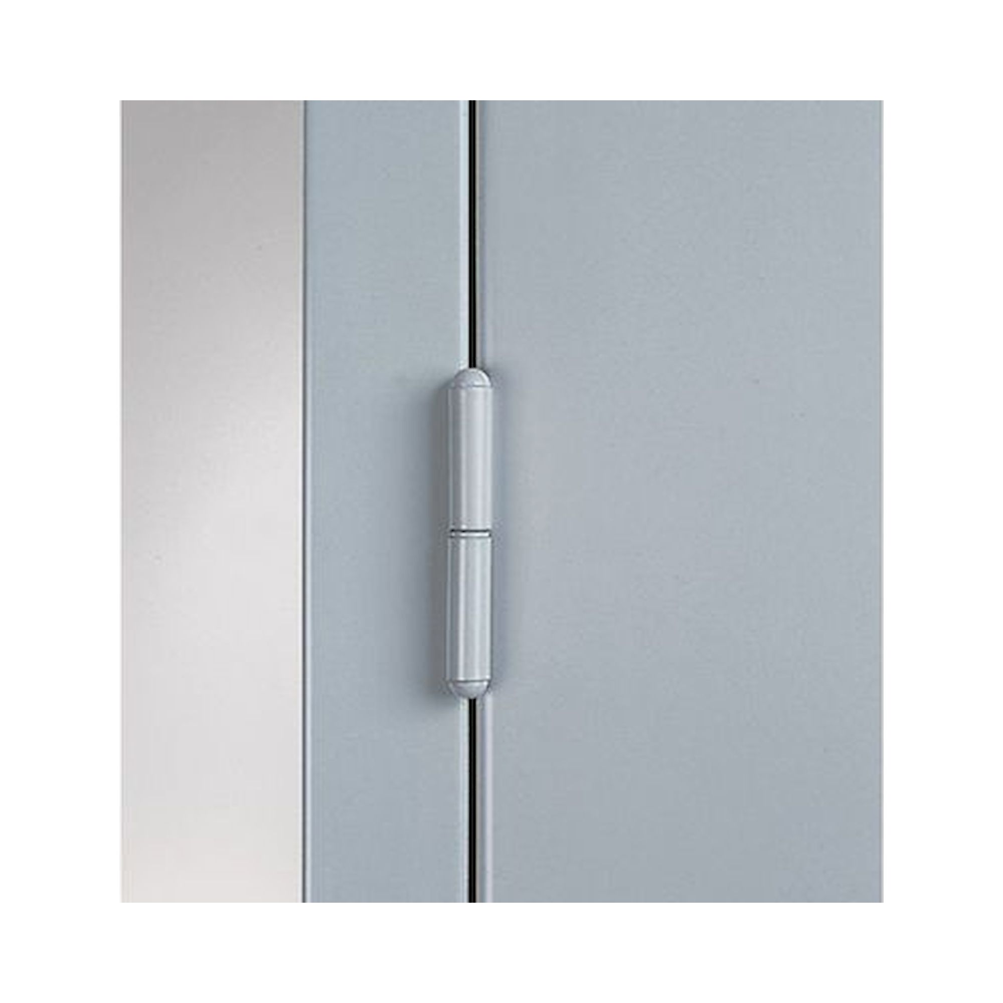 armoire à portes battantes profondeur 300 mm, 2 x porte battante - Bedrunka+Hirth 04.Z13.13.050