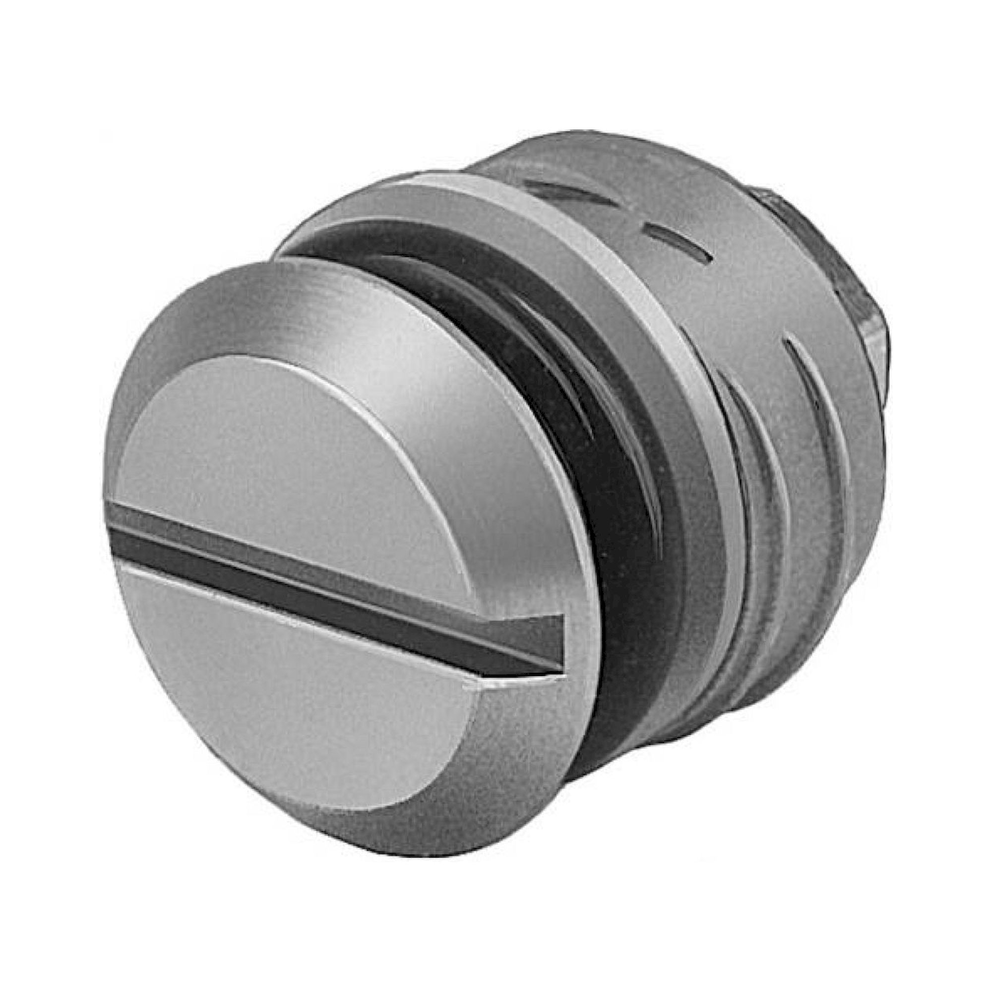 Festo PRSV-1/4 (160996) Blanking Plug