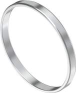 Festo Eaml-62-5,8-62 (558032) Centring Ring