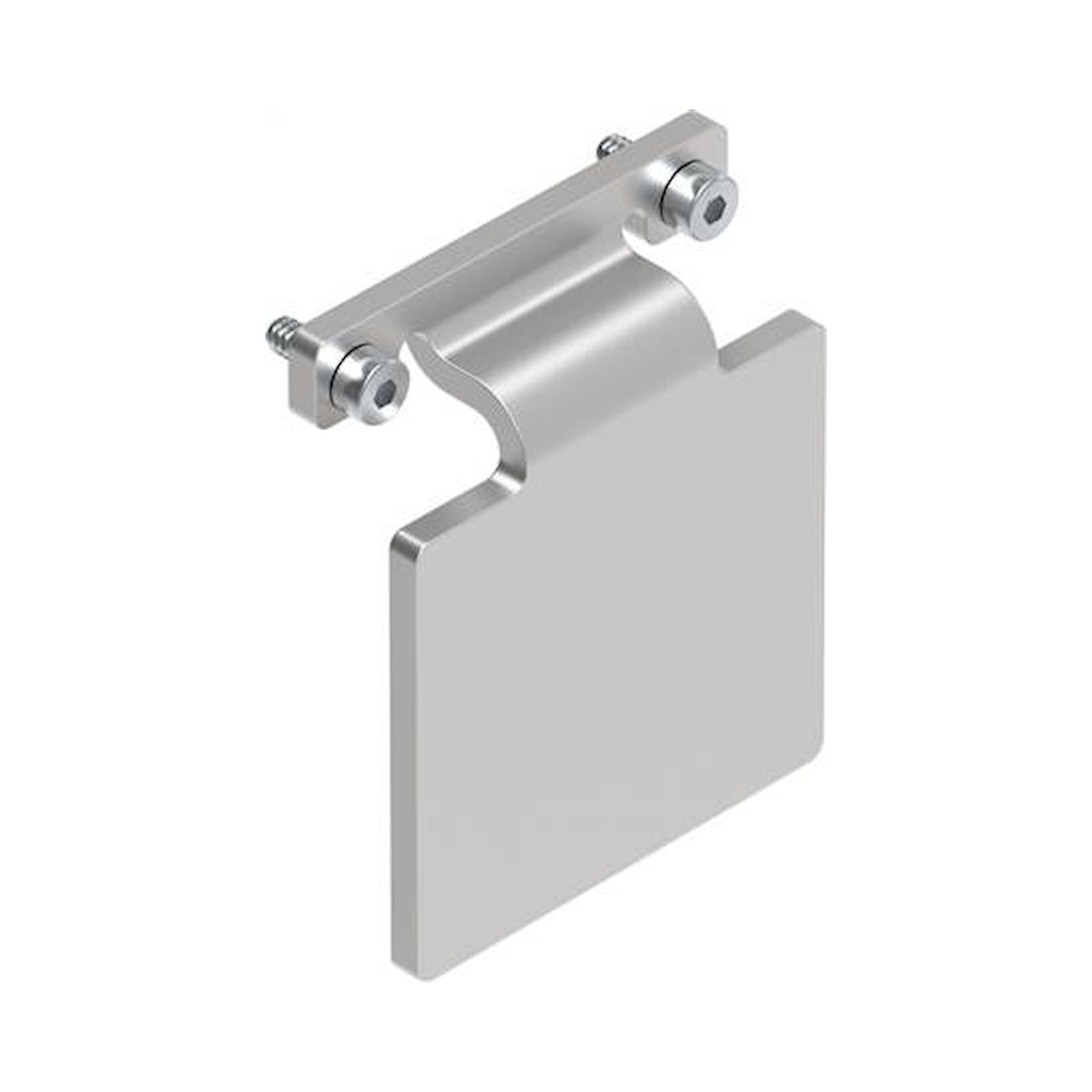 Festo EAPM-L2-45-SLS (8067260) Schaltfahne