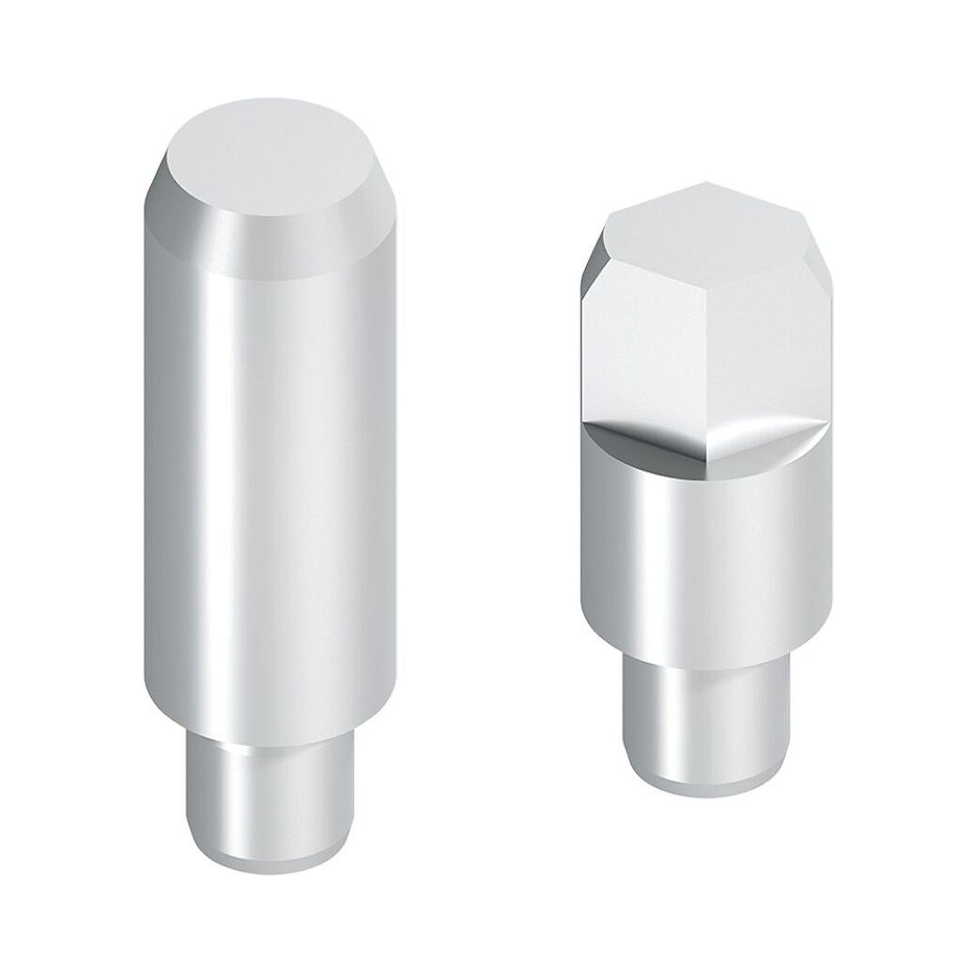 Bosch Rexroth 3842242395. Positioning pin, flat-sided, l39