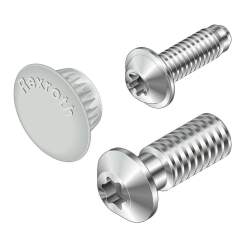 Bosch Rexroth 3842530236. Central bolt S12x30-Torx 50 (self-forming)