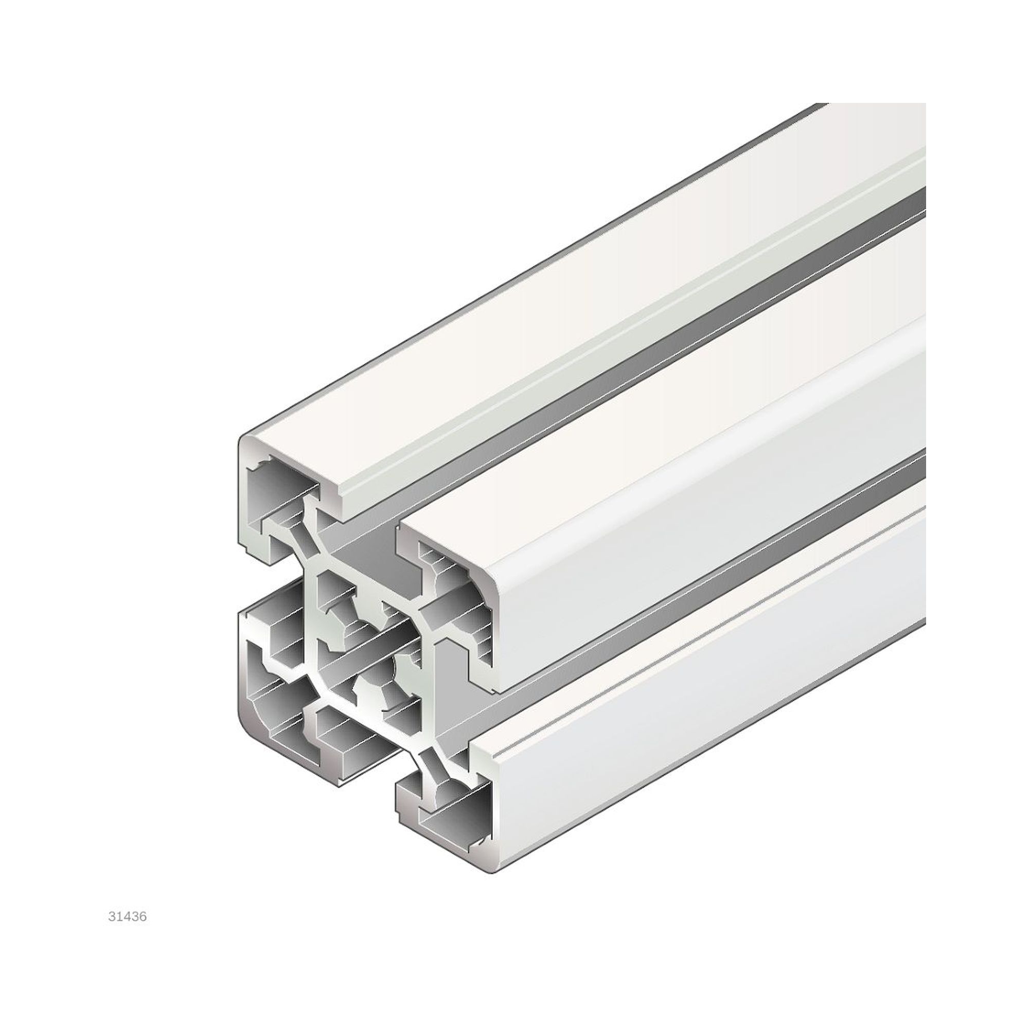 Bosch Rexroth 3842993157-1000. Strut profile, 50X50L M12/-. 1000 mm