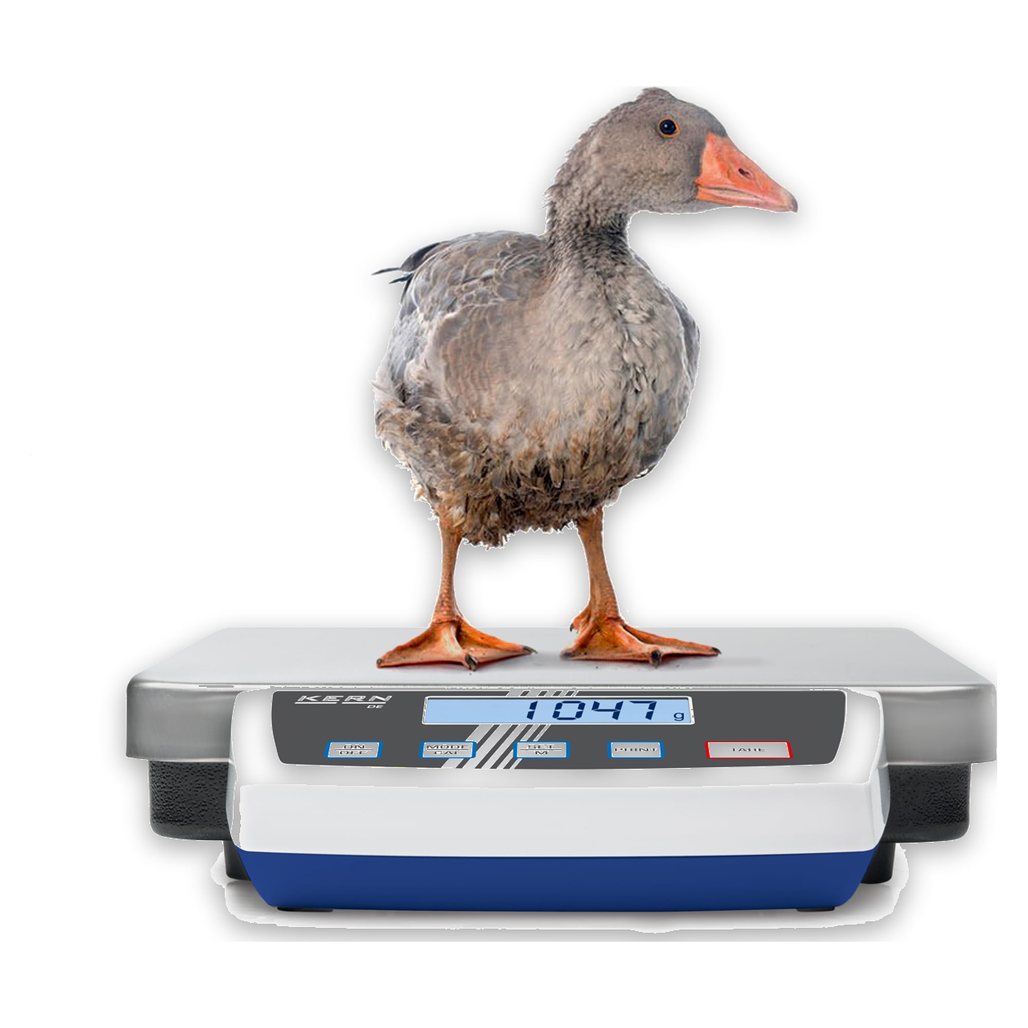 005 kg - KERN DE 150K2D