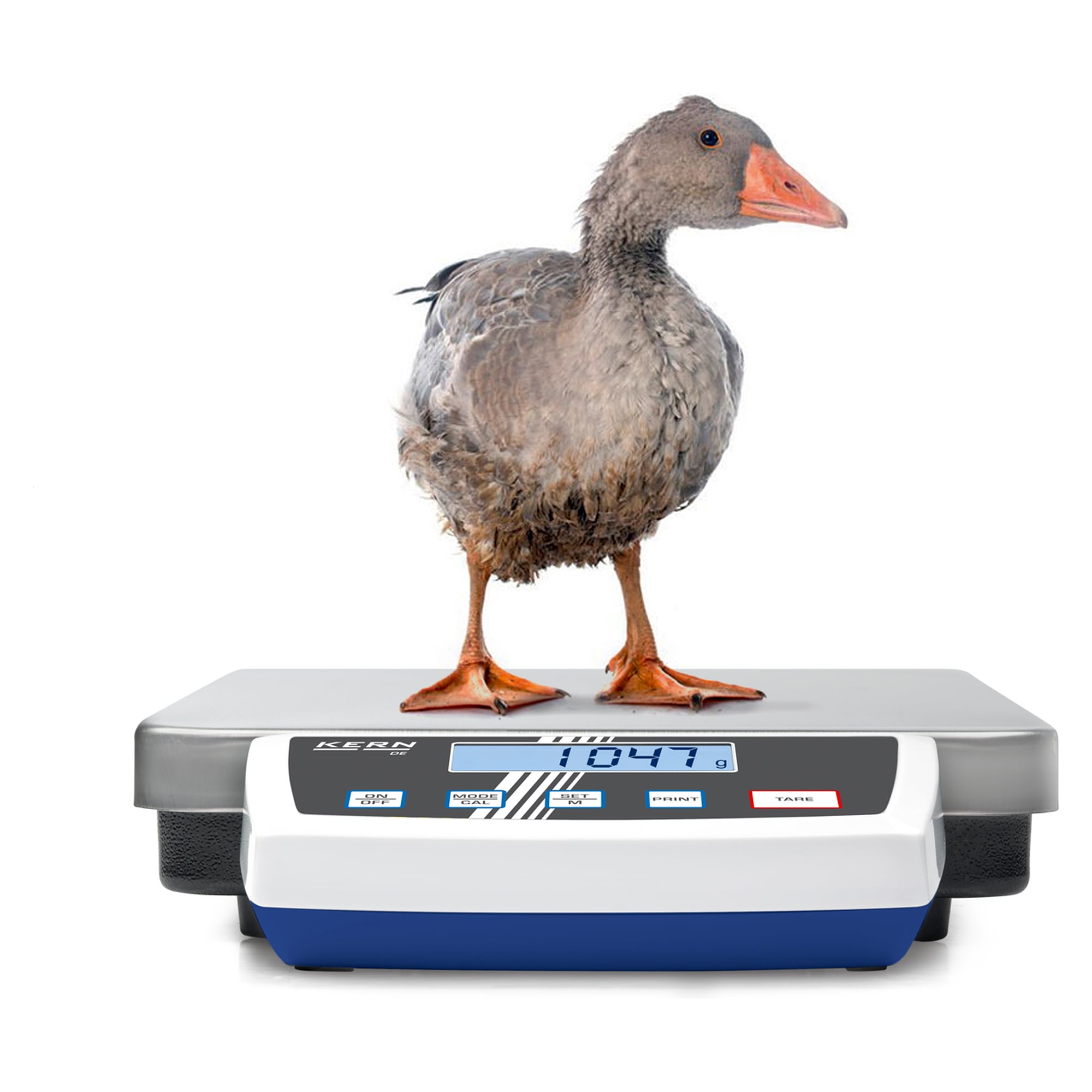 5 g - KERN DE 15K0.2D