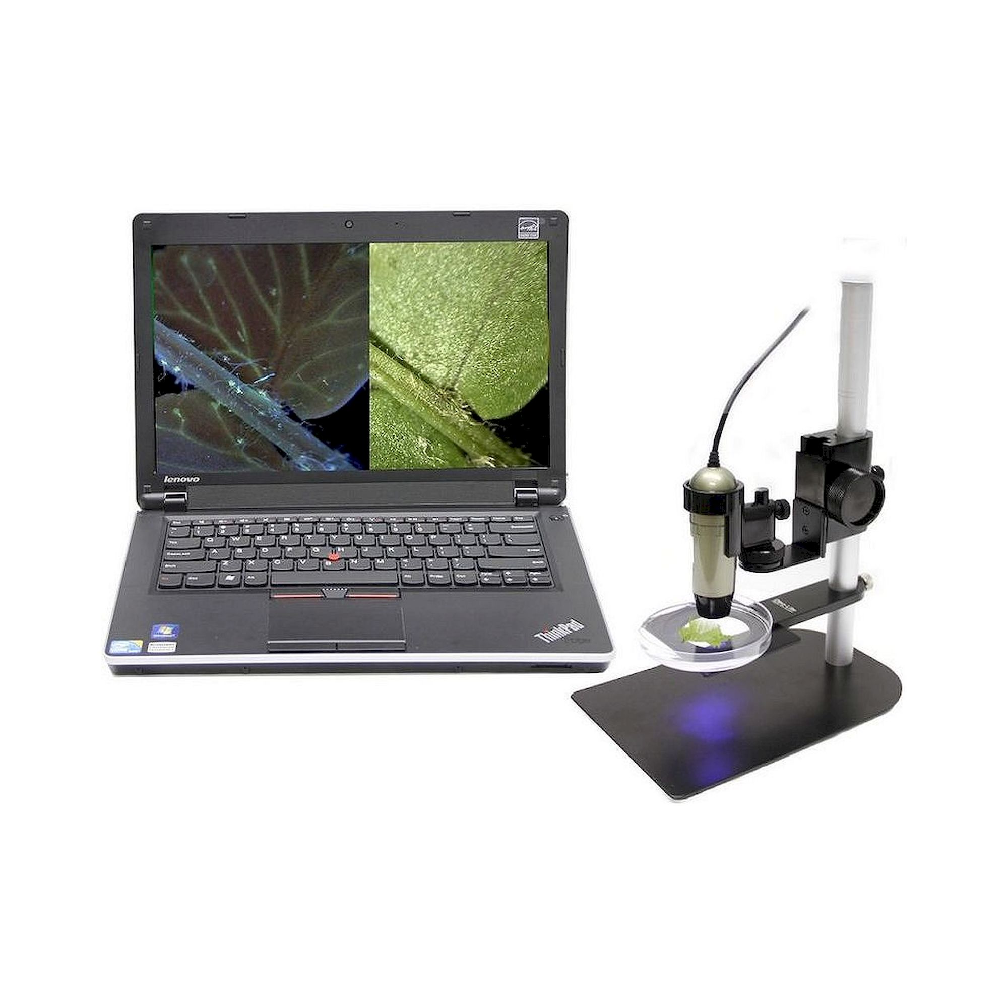 USB-Edge-Fluoreszenzmikroskop 1,3 MP 20-220x Anregung 400 nm - Dino-Lite AM4115T-CFVW