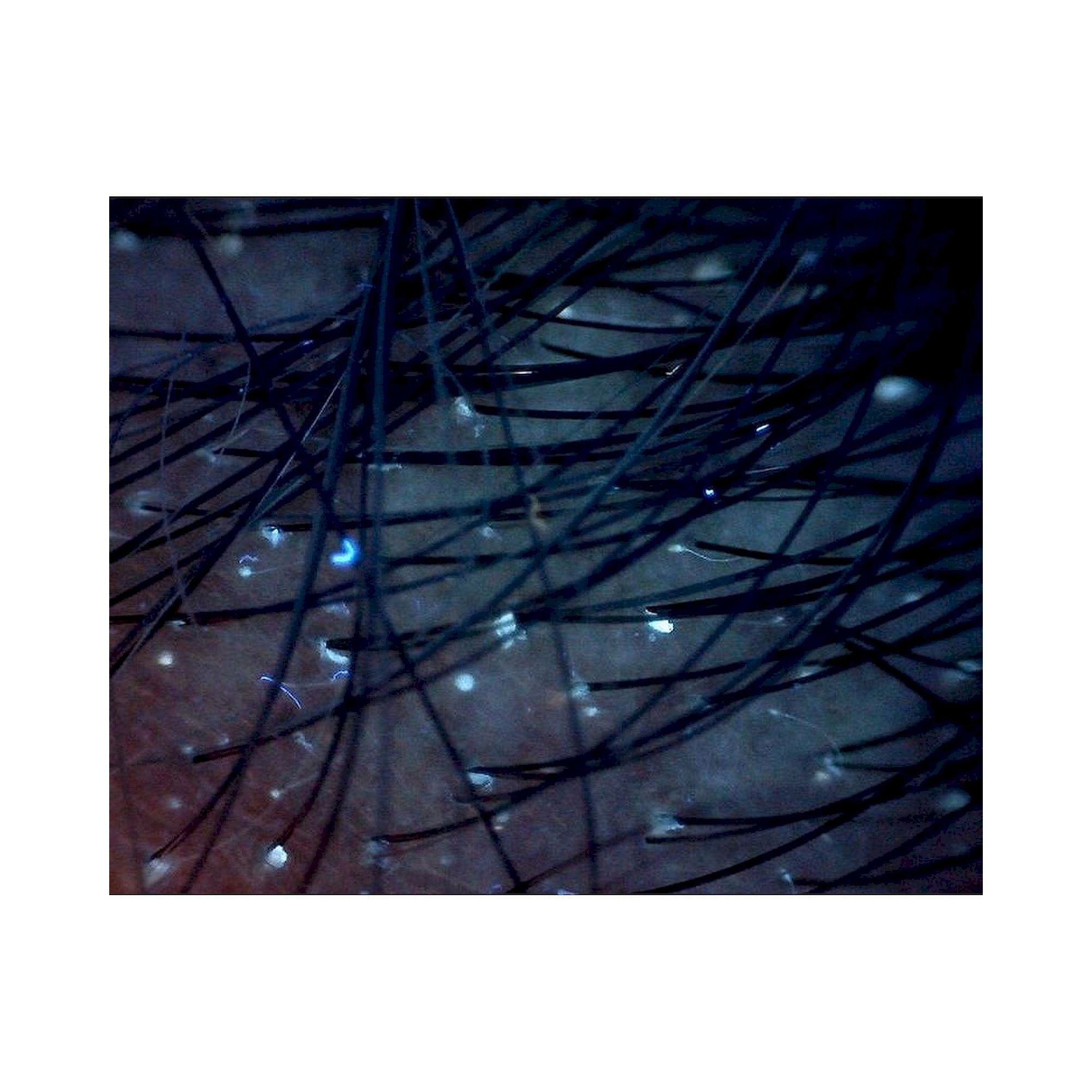 USB-Edge-Fluoreszenzmikroskop 1,3 MP 20-220x Anregung 400 nm - Dino-Lite AM4115T-CFVW