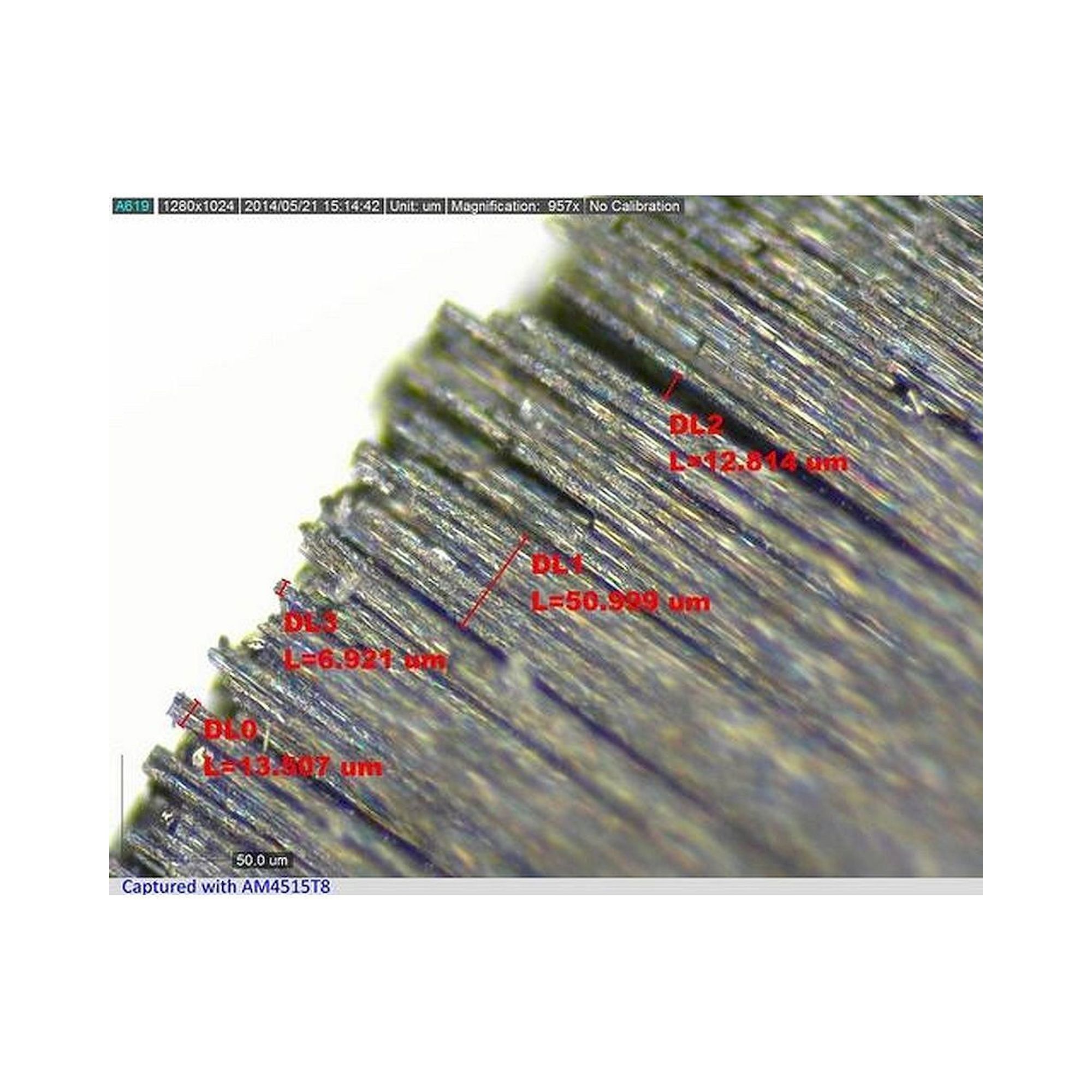 Microscope USB portable 1,3 MP 700-900x grossissement fixe - Dino-Lite AM4515T8