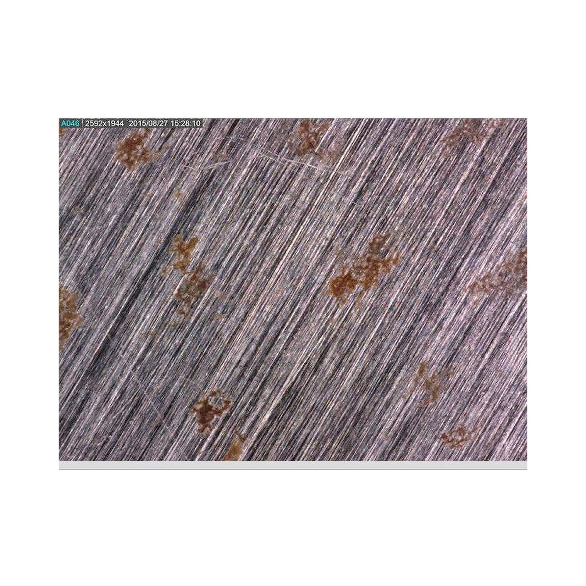 Microscope USB Edge 5 MP 10-140x LWD avec polariseur - Dino-Lite AM7115MZTL