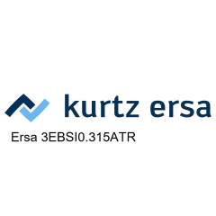 Ersa 3EBSI0.315ATR. Sicherung