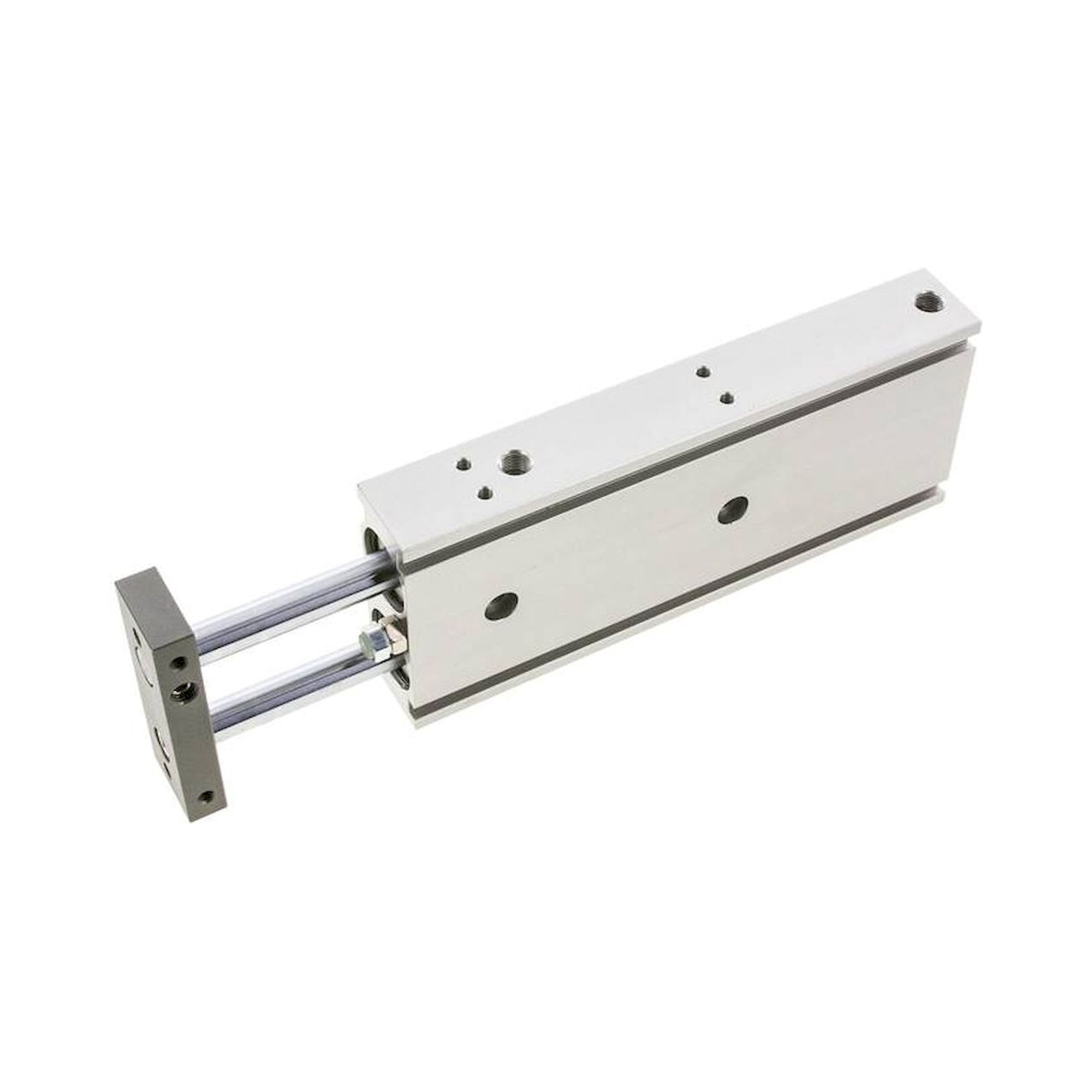 EMC EXSM 25/125. Doppelkolbenzylinder, Kolben 25mm, Hub 125mm