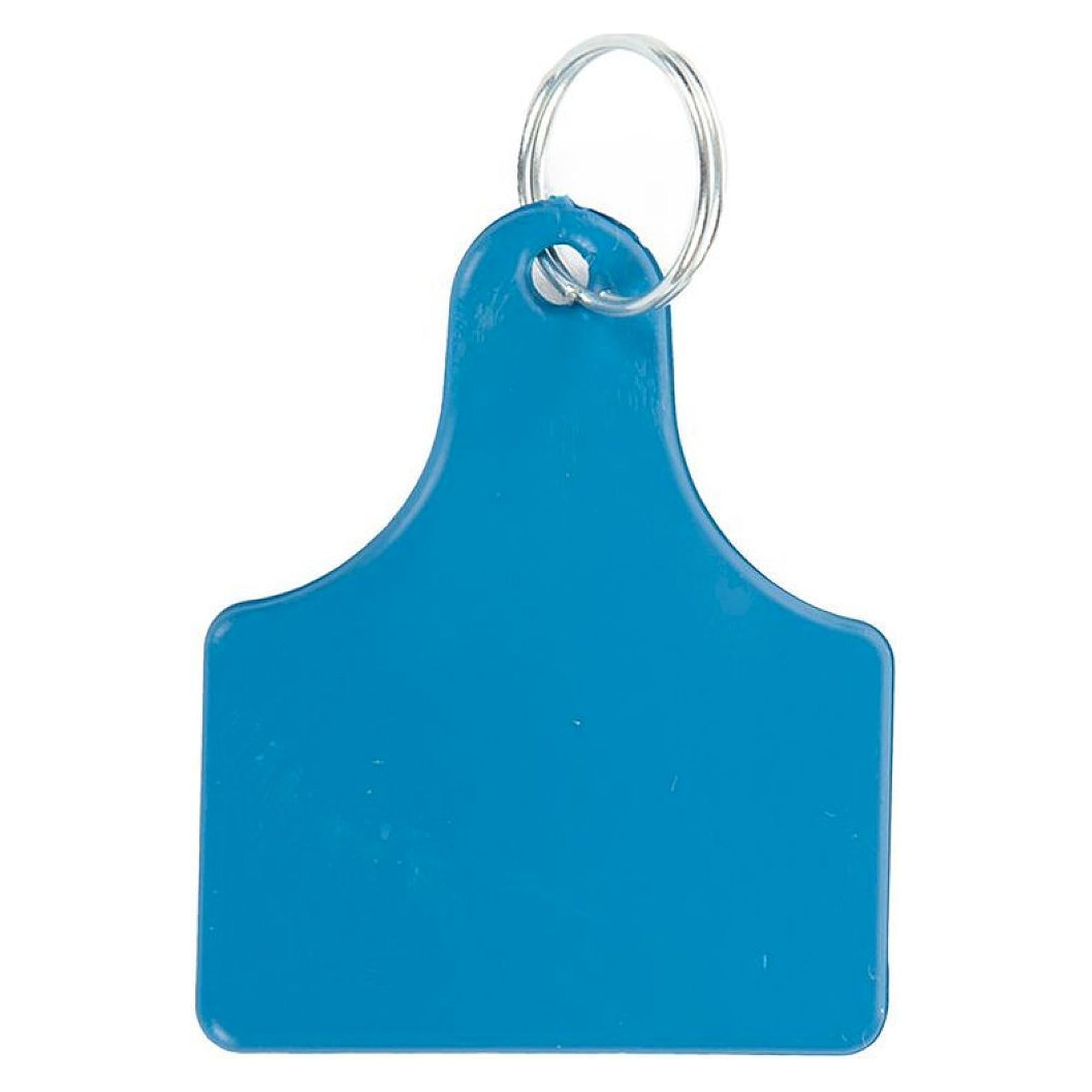 Franz Mensch 85418. Hygostar Detektierbarer Schlüsselanhänger aus Kunststoff, 55x65mm, blau