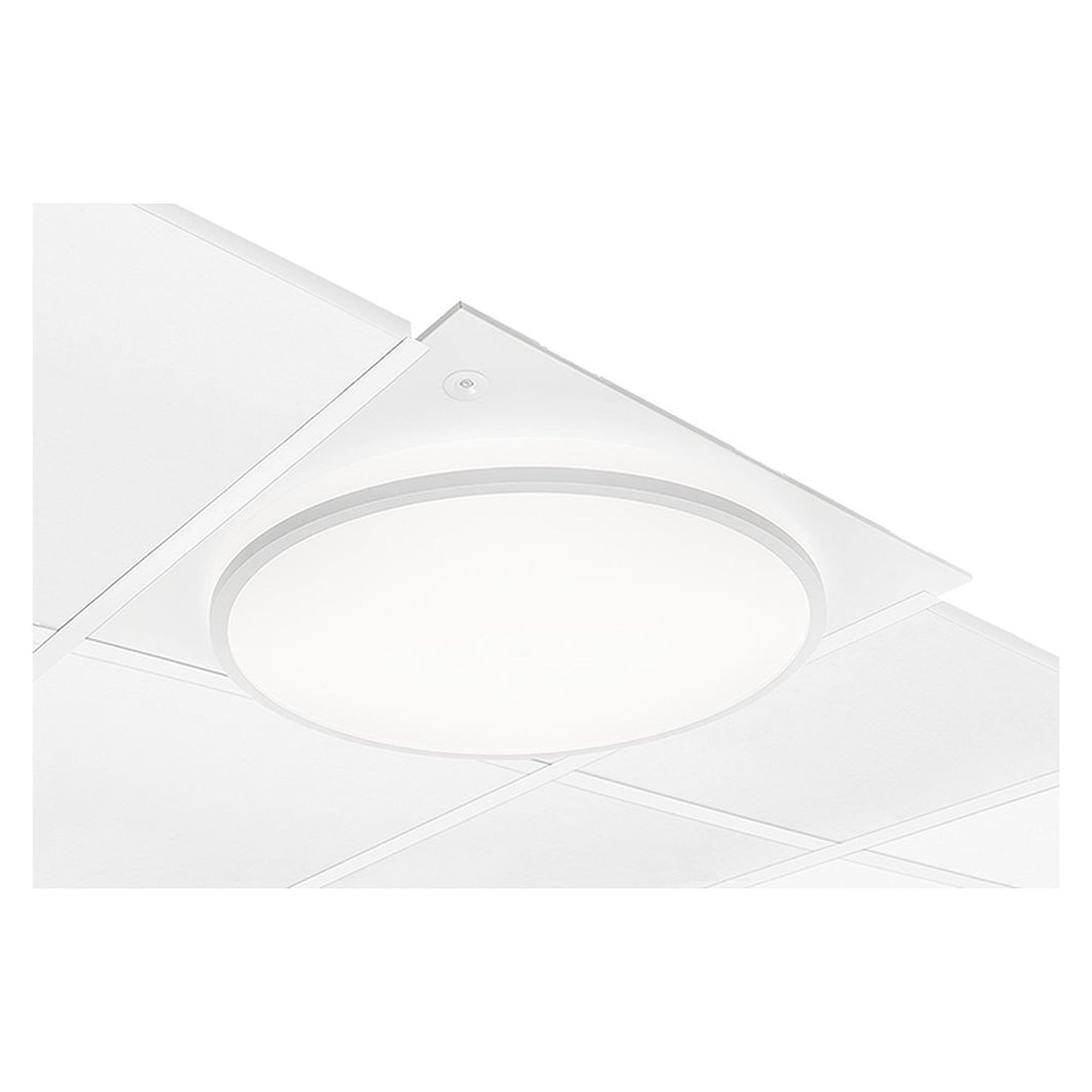 Glamox A51-R625/C530 luminaire LED, 2129 lm, 4000 K, commutable