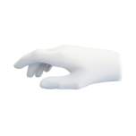 ECleanroom gloves, size L