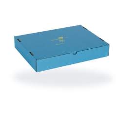Hans Kolb 10002957-0001. ESD shipping box (58-TVS) with warning print, 380x250x120mm, blue