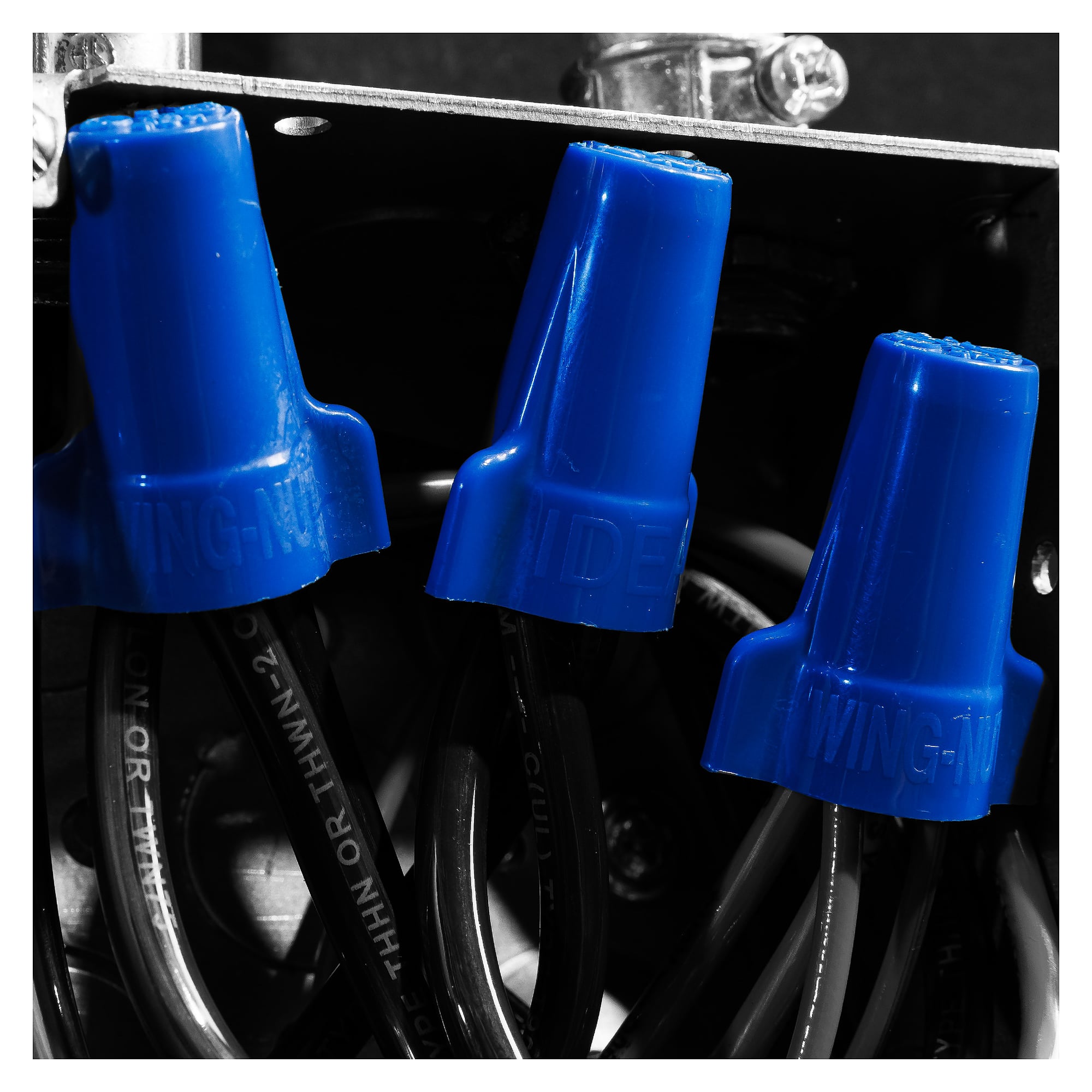 Drahtverbinder WingNut 454, blau, 2,5-16 mm², max. 2 x 16 mm², Packung 250 Stück