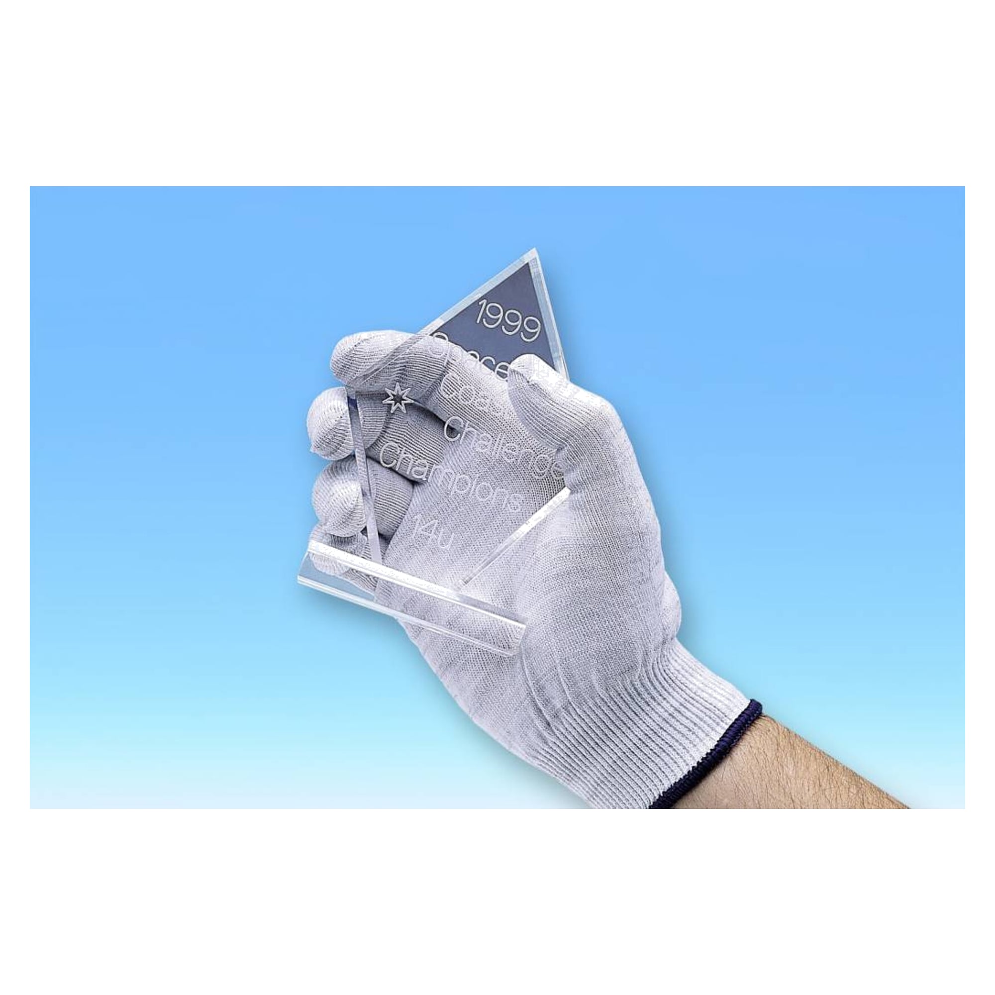 Gants antistatiques taille L, 1 paire, sept mégohms, sans imprégnation - Kinetronics ASG-L