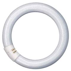 Osram SPA024433. Ring fluorescent lamp for LFM101, 22 Watt