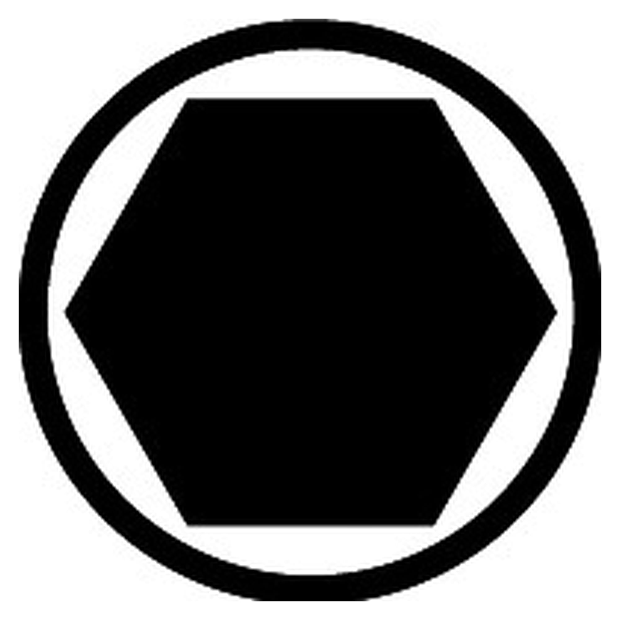 Bit Professional Internal hexagon 5.0 mm, 50 mm, 1/4" E6.3 - Wiha 04196