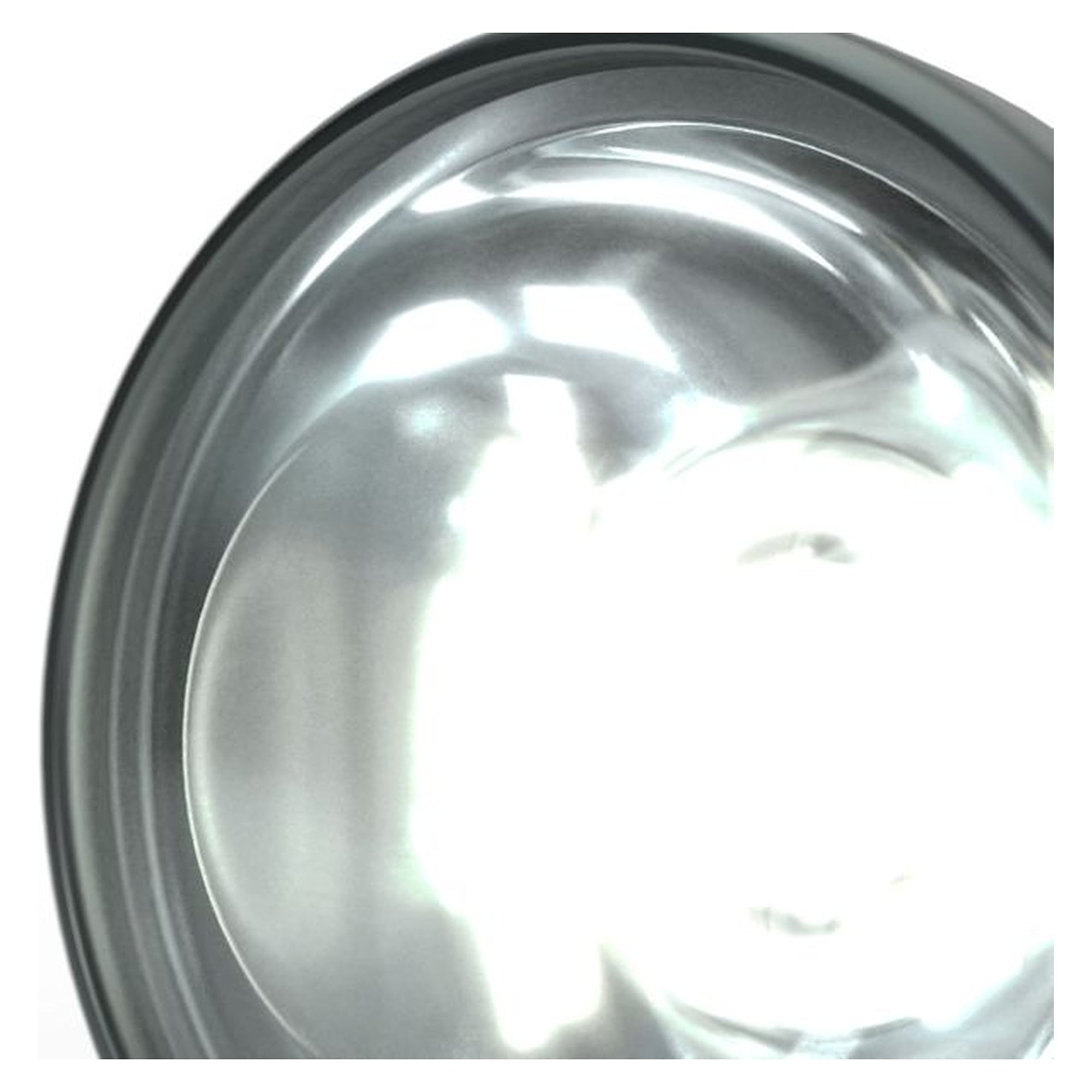 Starlight 100-006463. LED module, pure white, (6,000 K), spot (6°), 28mm