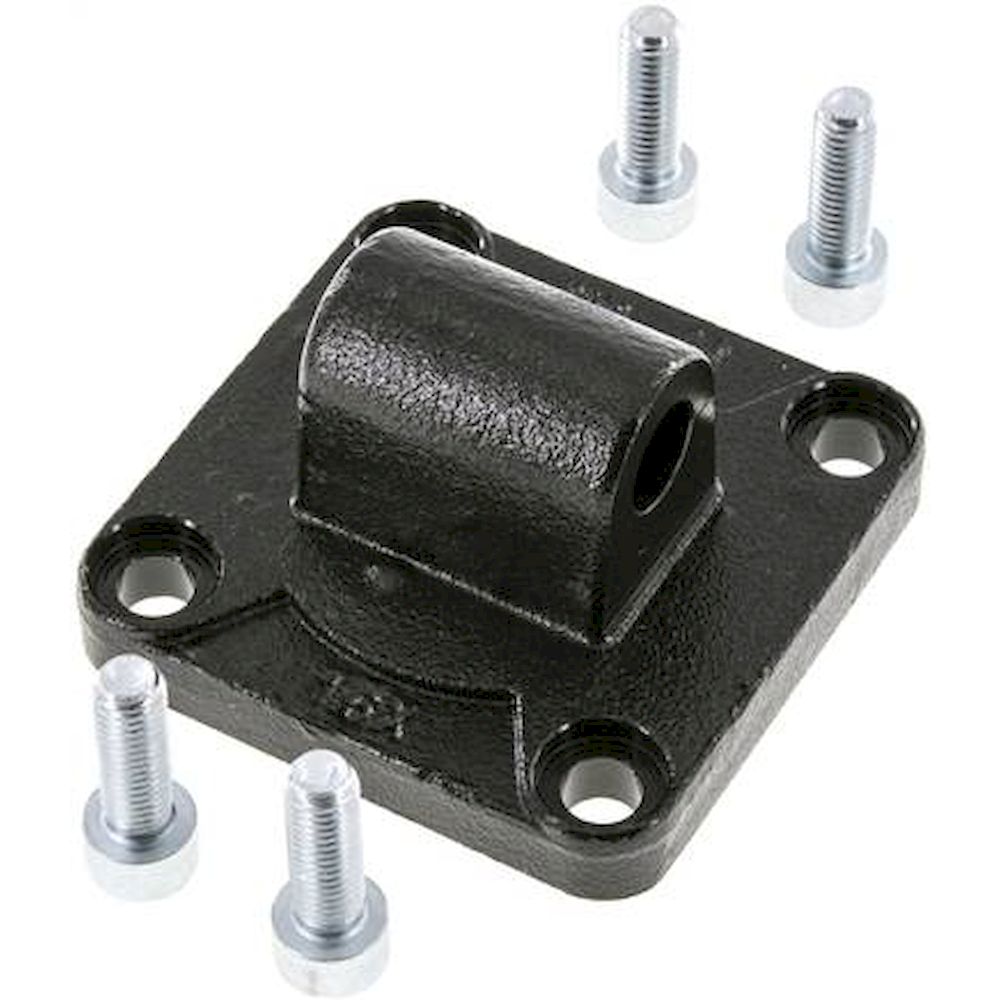 TG 80 ST. ISO 15552-loop strap swivel fastening 80 mm, Burnished steel