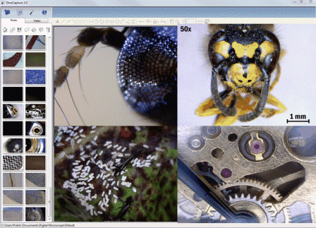 screenprint-dinocapture-2-0-education