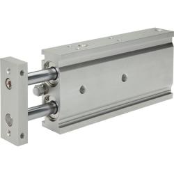 Kategorie Doppelkolbenzylinder EXSM image