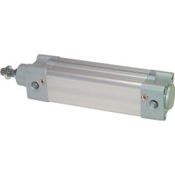 Category Pneumatic cylinder, double-acting 32-125 mm image